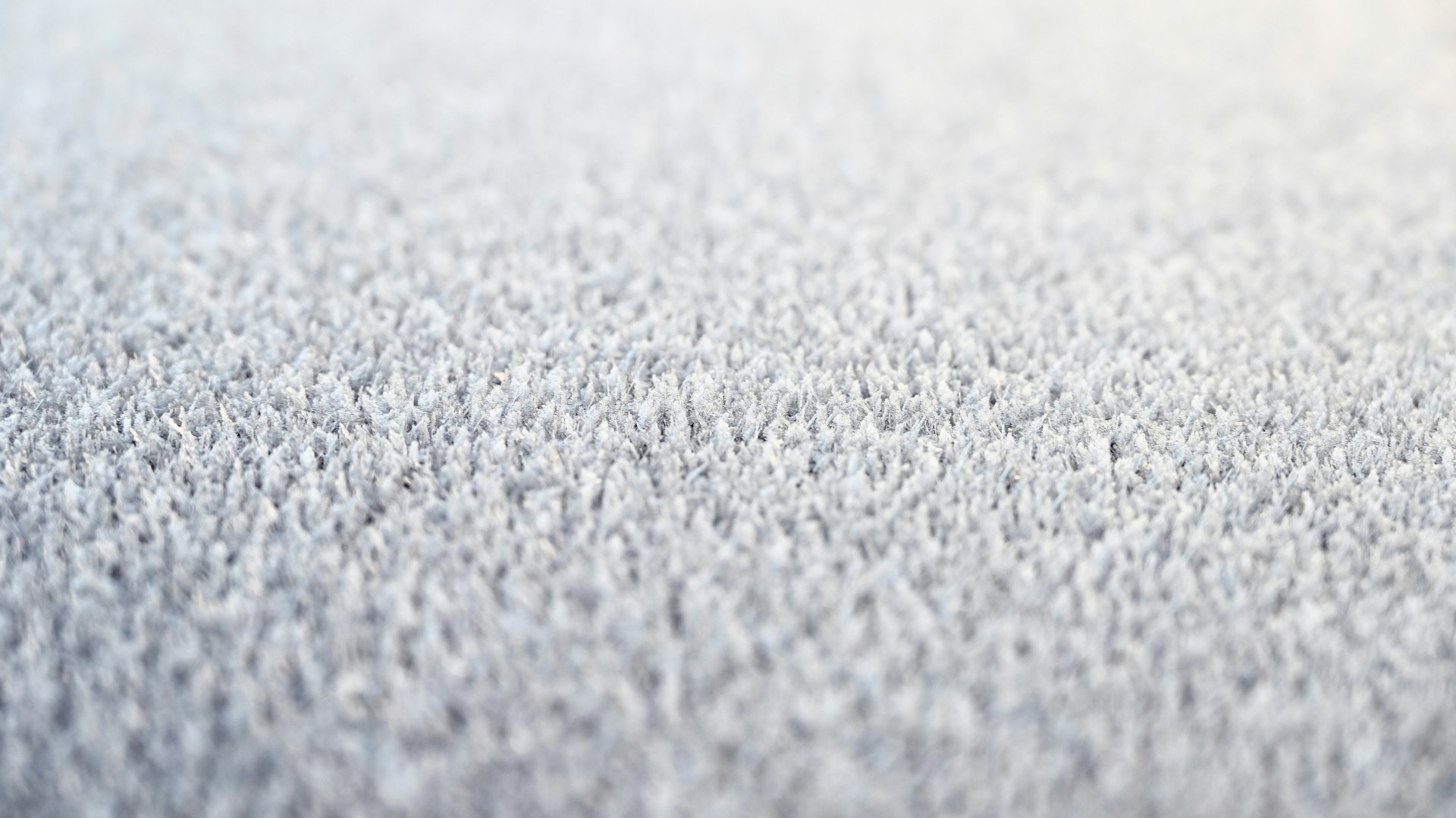 Best Hardwearing Carpets for Stairs, Hallways and Busy Homes