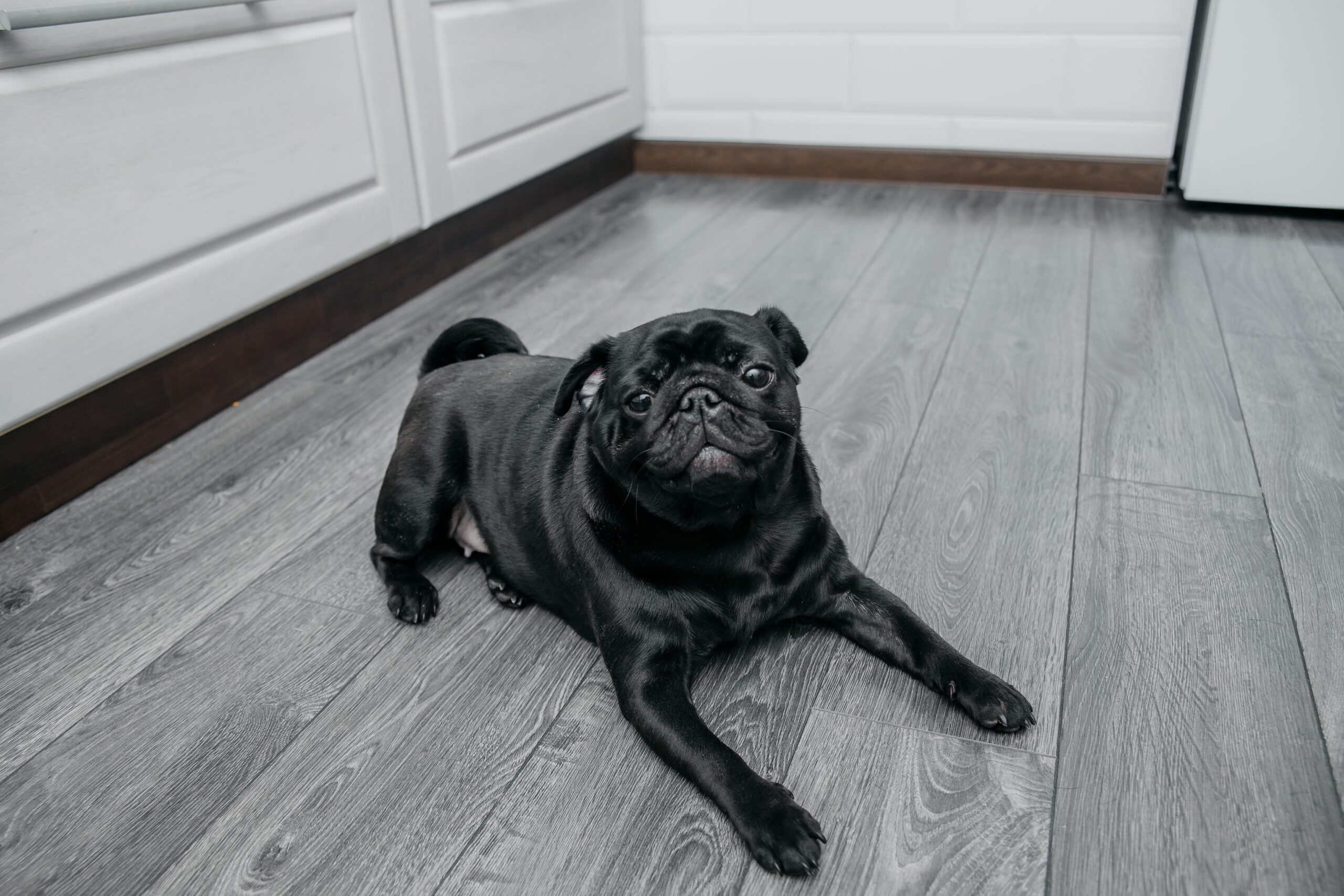 The Best Flooring for Kitchens and Bathrooms: Vinyl, Laminate or Carpet?